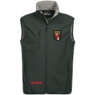 color:pistole 96